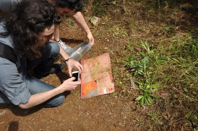Hazine haritası keşfi
